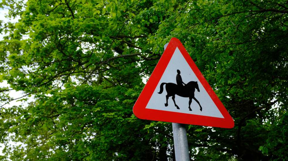 horse hazard sign